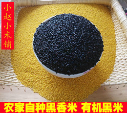 2015年新黑米 有机黑香米  农家自产天然黑米 五谷杂粮黑米