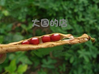 天然红豆杂粮红小豆 小红豆 农家自产 390克珍珠豆 农家自种红豆