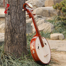 音乐学院推荐用琴专业老酸枝木贝雕中阮乐器手工制作音质保障配件