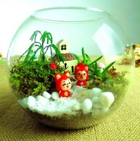 冲钻促销 透明大中小号圆形生态创意玻璃鱼缸 金鱼缸 龟鳖水培瓶