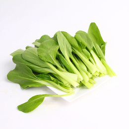 家庭蔬菜种子 小青菜 又叫鸡毛菜 吃出绿色 吃出健康