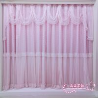 新款特价蕾丝窗帘 韩式窗帘  客厅 卧室专用 60 /米