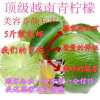 越南新鲜包邮柠檬青柠檬新鲜采摘汁多新鲜水果特价5斤28元特价