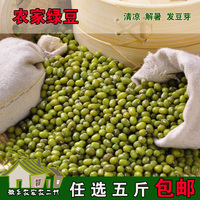 绿豆 东北农家自种 小绿豆 自产散装笨绿豆250g清热解暑绿豆汤