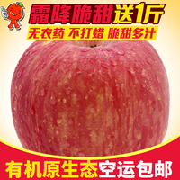陕西特产洛川新鲜水果纯天然有机红富士苹果5斤比山东烟台栖霞好