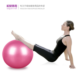 松鼠体育 加厚防爆健身球儿童瑜伽球孕妇减肥瘦身运动大龙球包邮