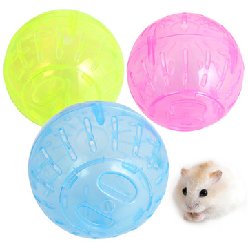 龙猫兔子跑球小宠物松鼠刺猬豚鼠大号运动跑球玩具用品25.5厘米