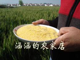 农家自种有机小米 月子米 宝宝米 五谷杂粮月子粮食 健康粗粮500g