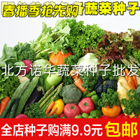 蔬菜种子套餐 阳台盆栽青菜种批发 四季播种菜籽简单易种促销包邮