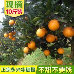 【天天特价】永兴冰糖橙甜橙有机水果10斤装纯甜橙不上火橙子现摘