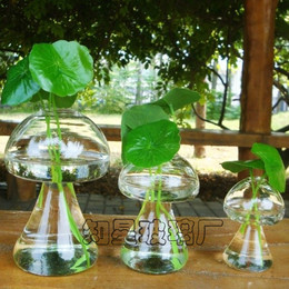 创意小蘑菇 水培花瓶 玻璃花瓶 办公桌摆件台面 时尚家居装饰