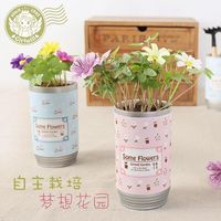 小花农 DIY创意迷你植物办公室桌面罐头花卉种子盆栽易拉罐微景观