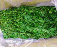大礼包2公斤最新优质极品精品紫花苜蓿草兔兔豚鼠主粮干草包邮