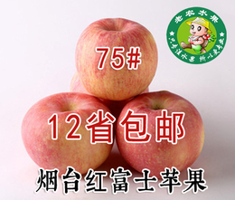 2015烟台栖霞红富士苹果75# 新鲜水果绿色无公害包邮8斤送2斤