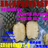 新鲜水果小菠萝凤梨胜泰国菠萝小菠萝水果多肉香甜5斤装35包邮