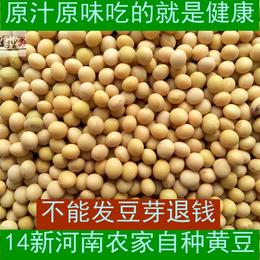 15年河南农家自种黄豆 豆浆豆芽专用优质小黄豆 有机大豆非转基因