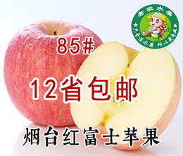 烟台栖霞红富士苹果85# 新鲜水果 绿色无公害全国包邮10斤装
