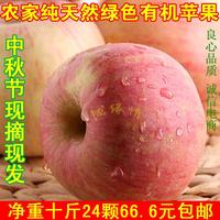 现摘新鲜水果礼县红富士苹果赛蛇果胜烟台丹霞高原有机10斤包邮