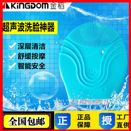 金稻电动洗脸神器 洁面仪硅胶刷头毛孔清洁器家用充电KD-303