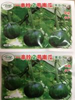 一串铃南瓜种子2号深绿色圆青瓜高产蔬菜基地专用春季小南瓜种子