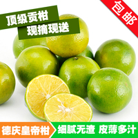 2015年现货新鲜广州德庆皇帝柑皇妃贡柑桔子水果5斤包邮