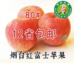 2015烟台栖霞红富士苹果80# 新鲜水果绿色无公害包邮10斤装