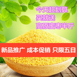 甘肃会宁特产 有机黄小米2015新米月子米小黄米农家良谷小米杂粮