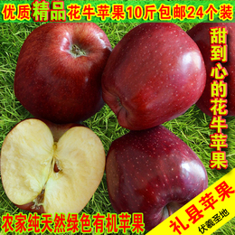 水果花牛苹果甘肃天水礼县新鲜潘苹果老人孕妇刮泥苹果10斤包邮