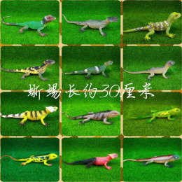 包邮仿真爬行动物玩具模型蜥蜴壁虎 变色龙 巨蜥环保安全蜥蜴模型