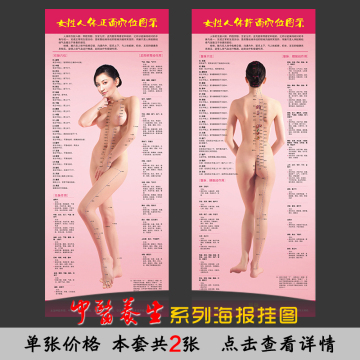 女性人体全身穴位挂图中医经络养生海报宣传标语挂画医用经脉展板