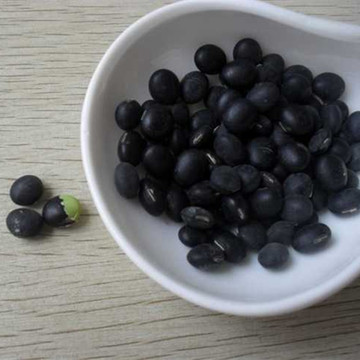 陕北有机黑豆 优质黄芯黑小豆 农家纯天然肾形黄仁心小黑豆 250g
