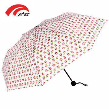 飞虹 韩国创意小清新学生个性加固防紫外线雨伞女折叠晴雨两用
