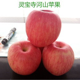 2016新鲜灵宝苹果寺河山条纹红苹果红富士苹果新鲜水果10斤包邮