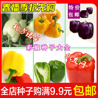 蔬菜种子 阳台盆栽 四季种 五彩椒观赏椒食用椒甜椒种子易种 包邮