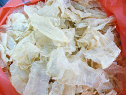 潮汕干鲜货特产食品 北海黄花胶鱼胶 自晒正品北海小鱼胶250g