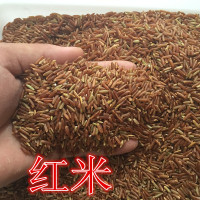 2017年新红米 红糙米稻花香大米农家粗粮现磨红曲米