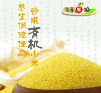 优质小米农家自产地方特产绿色健康食品临泽枣仙专供