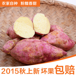 【天天特价】新鲜红薯小香薯4斤装现挖黄心番薯地瓜山芋有机疏果