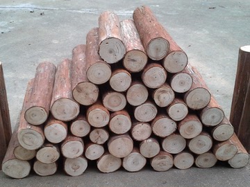 壁炉木头 香杉木原木壁炉装饰木柴 拍摄道具创意招财摆件杉木圆木