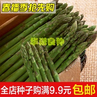 【天天特价】 进口芦笋种子阳台盆栽蔬菜种子四季龙须菜种子包邮