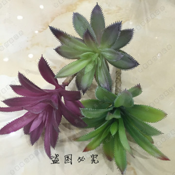 迷你DIY小植物 塑胶叶三色 多肉热带装饰植物 植物墙配材