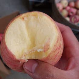 烟台栖霞红富士苹果比阿克苏冰糖心好吃80#5斤自产自销