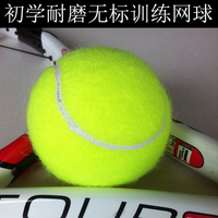 网球 训练用球 练习球耐磨FANGCAN正品初学者入门无标网球球特价