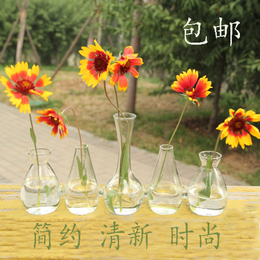 日式创意连体植物花瓶透明玻璃水培花插桌面艺术品办公室家居摆件