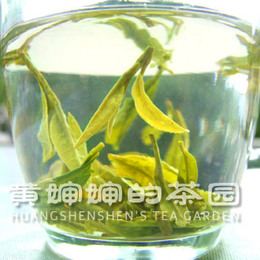 现货 2015新茶雨前杭州梅家坞西湖龙井茶叶茶农直销250g春茶绿茶