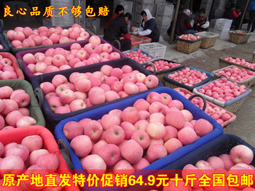 新鲜水果苹果陇南红富士苹果赛蛇果胜烟台丹霞有机特产10斤包邮