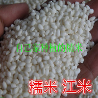 2016江米东北黑龙江特产自家糯米江米粘米五常黏大米包粽子米