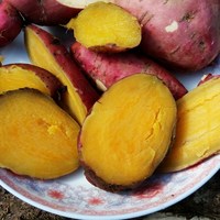 地瓜红薯红皮黄心番薯新鲜生番薯南瓜红薯生甜薯金薯5斤包邮