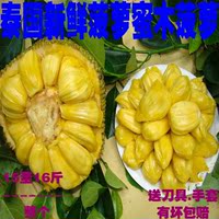 正宗泰国菠萝蜜干苞菠萝蜜果木菠萝假榴莲新鲜水果整个15至16斤
