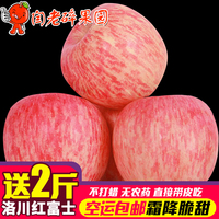 陕西洛川有机水果新鲜红富士苹果10斤纯天然特产比山东烟台栖霞甜